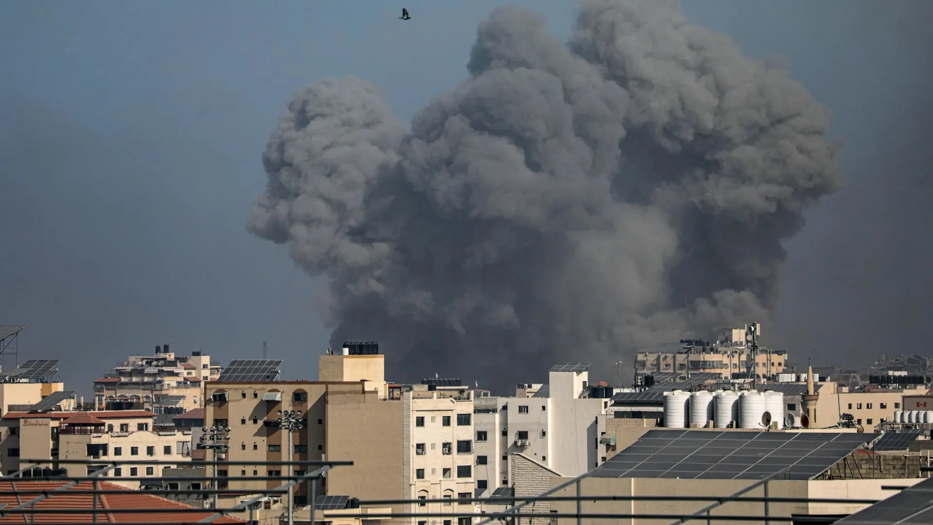 Palestinian Death Toll Exceeds 24,000 as Israel Continues to Pound Gaza