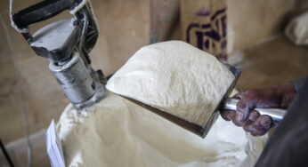 SFA DG Urges Adherence to Fortification Standards in Flour and Salt Processing