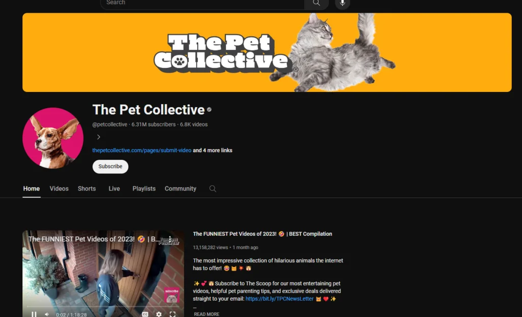 the pet collective youtube channel