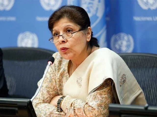 Shamshad Akhtar Unveils 6-Month Economic Progress of Interim Government