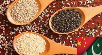 Pakistan tops sesame seed exports to China, record growth predicted