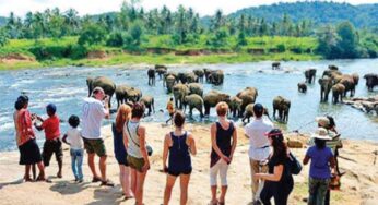 Sri Lanka’s Economy Rebounds in Q4 2023, Fueled by Tourism Surge