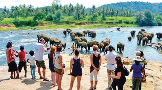 Sri Lanka’s Economy Rebounds in Q4 2023, Fueled by Tourism Surge