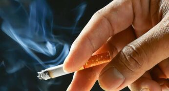 Experts Advocate for Higher Tobacco Taxation to Boost Economy