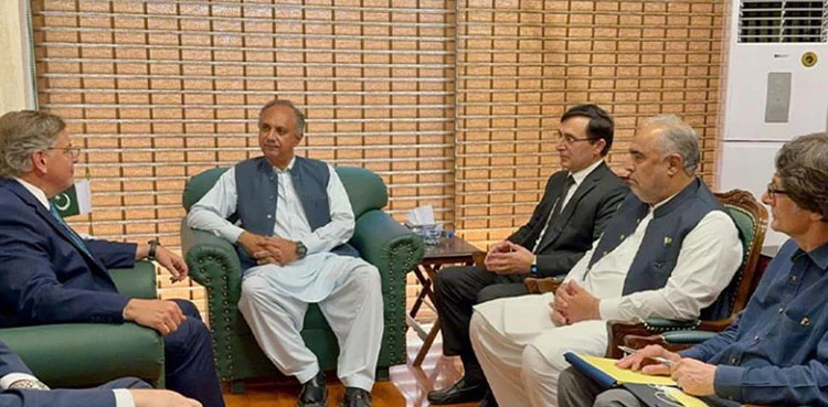 PTI Top Brass Meets US Ambassador to Discuss Bilateral Issues