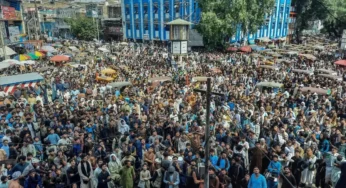 Afghan Cities Erupt in Joy as National Cricket Team Reaches World Cup Semi-Finals