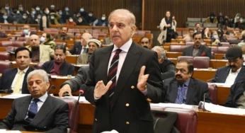PM Shehbaz Admits IMF Role in 2024-25 Budget
