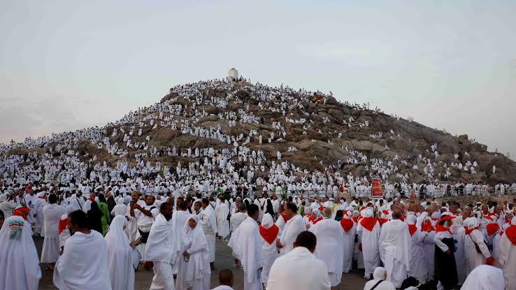 Over 550 Pilgrims Die During Hajj Amid Scorching Heat