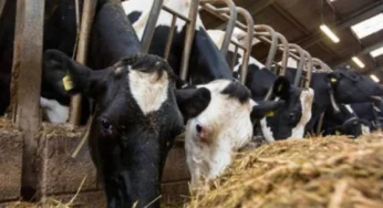 Punjab Launches Livestock Card and Farmer Guidance App