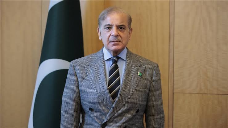 PM Shehbaz Announces Relief Package for Electricity Consumers Using Up to 200 Units