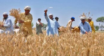 IMF Proposes 45% Tax on Agriculture Income as Pakistan Negotiates New Bailout Package