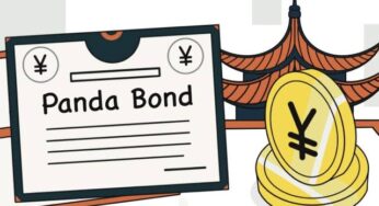 Pakistan Receives Bids from Chinese Firms for First Panda Bonds Issuance