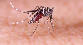 Spike in Dengue, Chikungunya, and Malaria Cases Across the Country