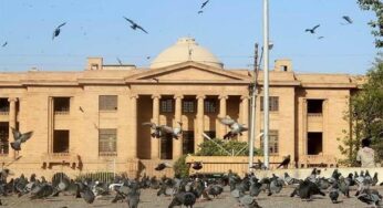 Sindh High Court Halts Alleged Illegal Grade-16 Appointments