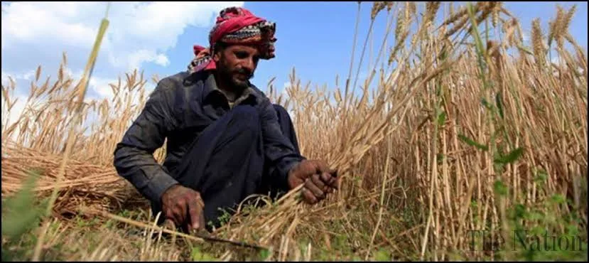 Kisan Ittehad Announces Nationwide Protests in December Against Agricultural Tax