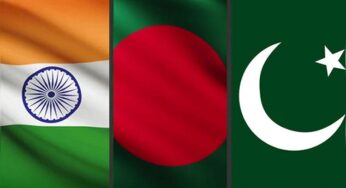 Learning from Bangladesh and India: Why Pakistan Should Embrace Tobacco Harm Reduction