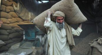 Sindh Declares May 1 Public Holiday for Labour Day