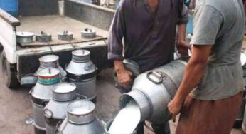 Dairy Price-Fixing Penalties Reduced by Tribunal