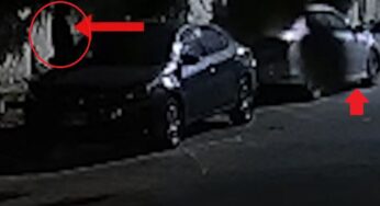Tech-Savvy Car Thieves Outsmart Security Systems in Karachi