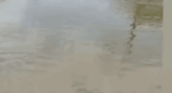 Karachi Faces Water Disruption Threats Again After Pipeline Bursts at University of Karachi