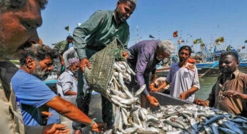 Seafood Exports Jump 22% to $253m in H1 FY26: Junaid Anwar Chaudhry