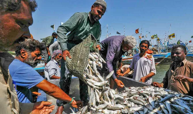 Seafood Exports Jump 22% to $253m in H1 FY26: Junaid Anwar Chaudhry