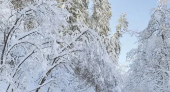 Urgent Relief Efforts Deployed as Severe Winter Storms Hit Northern and Hilly Regions of Pakistan