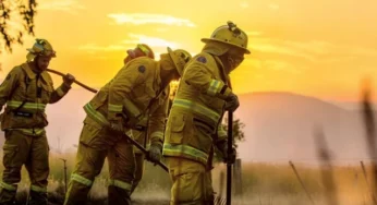 Heatwave Forces Urgent Evacuations Across Southeast Australia as Temperatures Hit Records