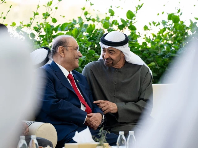 Pakistan, UAE Presidents Reaffirm Commitment to Peace and Stability in Key Meeting