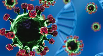 What Is the Deadly Nipah Virus and Why Should You Be Concerned?