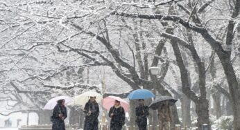 Snowstorm Threatens Low Voter Turnout in Japan’s Severe Winter Election