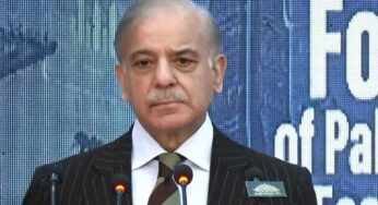 Prime Minister Sharif Announces Major Electricity Tariff Cut for Industries