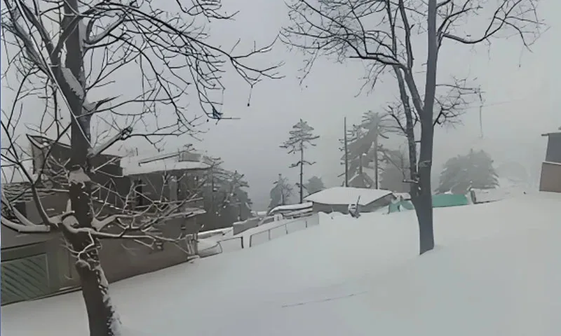 Light Rain and Snow Forecast for Khyber Pakhtunkhwa and Punjab Over the Next Few Days