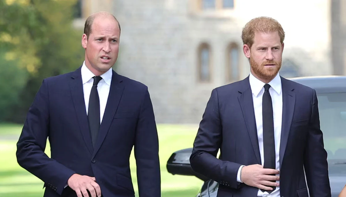 Prince William Urged to Forgive Harry for Monarchy’s Future Stability