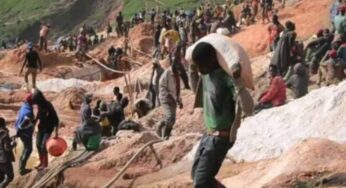 Over 200 Dead in Catastrophic Coltan Mine Collapse in Congo
