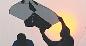 Islamabad Police Seize Over 21,000 Kites in Month-long Crackdown on Hazardous Flying Materials