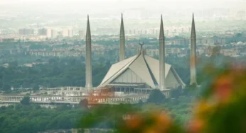 CDA Defends Tree Cuts with Legal and Scientific Justifications at Islamabad High Court