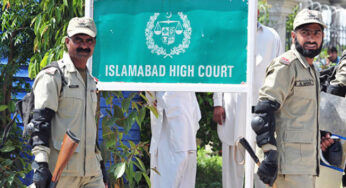 CDA Gets Approval to Remove Paper Mulberry Trees, Upholding IHC’s Environmental Committee Recommendations