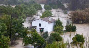 Floods from Storm Leonardo Claim Lives, Widespread Rescue Efforts Needed
