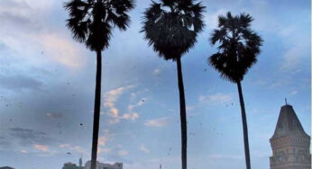 Met Office predicts strengthening south-west winds for Karachi