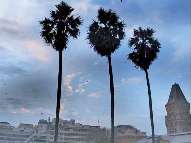 Met Office predicts strengthening south-west winds for Karachi