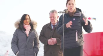 Denmark: Greenland Crisis Solved But Not Fully Resolved