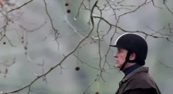 Andrew Mountbatten-Windsor shared UK trade files with Epstein in 2010