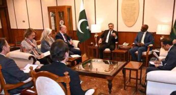 UN delegation meets Chief Justice Afridi for judicial reforms
