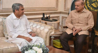 Govt approves Pakistan’s participation in Feb 15 Pak vs India T20 World Cup