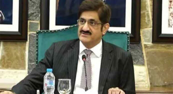 Sindh CM: PTI Strike Call Failed Nationwide