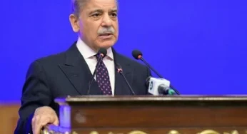 PM orders Nepra appeal to save solar user contracts