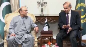 PM Shehbaz meets President Zardari on national security and AJK elections