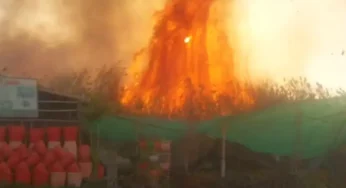 Fire brought under control near Karachi University, no casualties reported