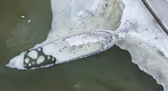 Century-Old Swedish Navy Shipwreck Emerges Due to Low Sea Levels